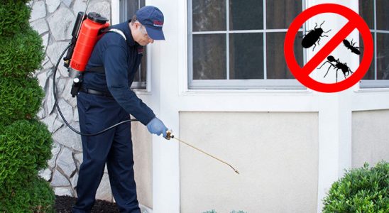 Besni Gümüşkurt İlaçlama böcek ilaçlama ve haşere kontrolü — ilaclama-tr.com